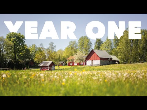 "THE FIRST YEAR | Beginners' Complete Renovation of Swedish 1840s Cottage"