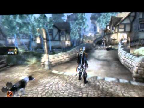 Fable III Multiplayer Glitch