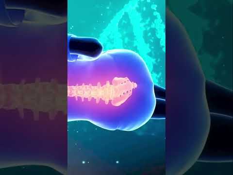 Clínica Fisioterapia y Osteopatía en Costa Rica