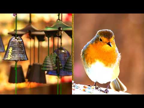 Mixed Wind Chimes and Birds | Relaxation Sounds | 10 hours