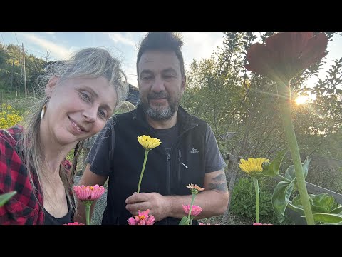 NEW GARDEN PROJECT | Let's regenerate the lawn