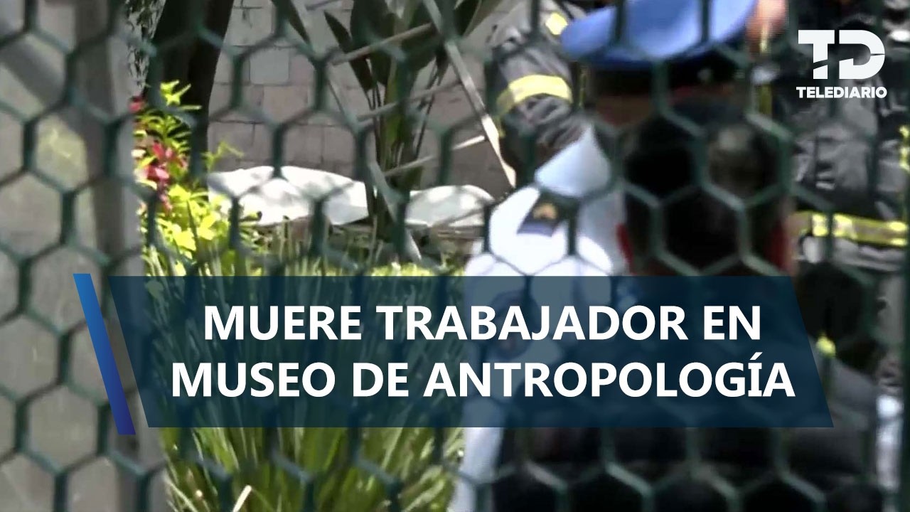 Trabajador muere tras caerle una rama encima en el Museo de Antropología; estaba podando un árbol