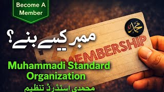 Inside MSO How Members Contribute and Make a Difference | Organizational Work Explained