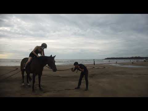 沙崙海灘 淡水  / sharon beach Tamsui