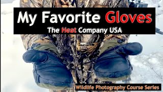 Best Gloves For Wildlife Photography