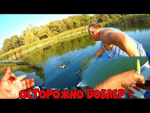 ВОБЛЕРЫ и КОЛЕБЛО КОТОРЫЕ  ЩУКА НЕ ПРОПУСКАЕТ,ПЕЧЕНЕЖСКОЕ ВОДОХРАНИЛИЩЕ РЫБАЛКА НА ВОБЛЕРЫ,БЛЕСНЫ.