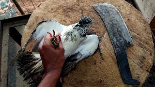 pigeon bird cutting skills by indian village butcherman pigeon indianstreetmarkets howtocut ism