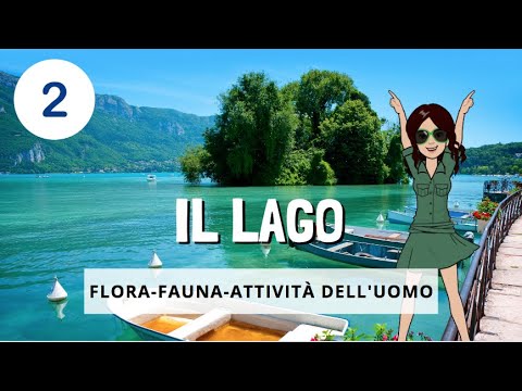 🌅 IL LAGO - episodio 2 - flora, fauna, attività dell'uomo