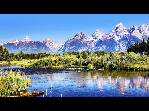 Rivière de montagne, nature relaxante et chants d'oiseaux, zen et relaxation, sons naturels, alpage