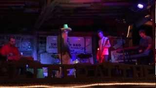Jimbo Mathus and the Tri-State Coalition  - "Tennessee Walker Mare"