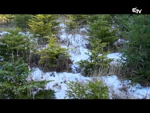 Tájkép 2014. december 8. – Erdélyi Magyar Televízió