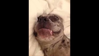 Ben Lukas Boysen - Sleepers Beat Theme (ZennisTheMenace Mix)