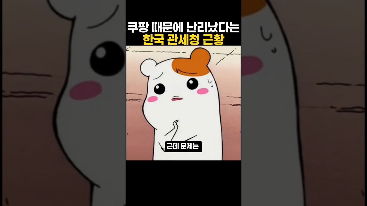 쿠팡때문에 난리났다는 한국 관세청 근황