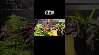 この水槽、さらに広がるの？5月公開『事例のない拡張計画』予告