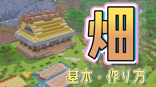 【マイクラ】畑の作り方完全ガイド！小麦・ジャガイモ・ニンジン・ビートルートの育て方【初心者向け】