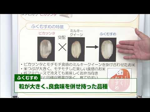 【福井県立大学】創造農学科　三浦 孝太郎 准教授