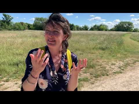 L'aménagement de la butte Orgemont à Argenteuil