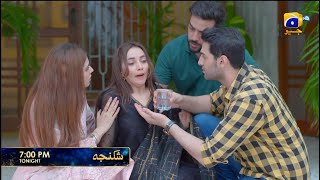 Shikanja Episode 03 Promo | Tonight at 7:00 PM only on Har Pal Geo