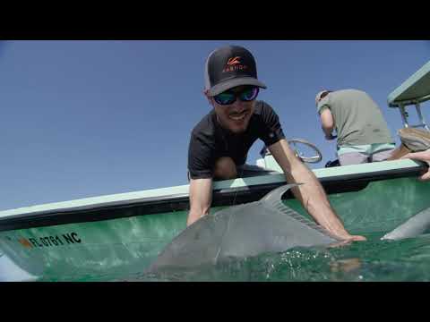 Kaenon Credibility - Kyle Velunza