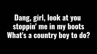 Cole Swindell feat. Dierks Bentley: Flatliner (Lyrics)