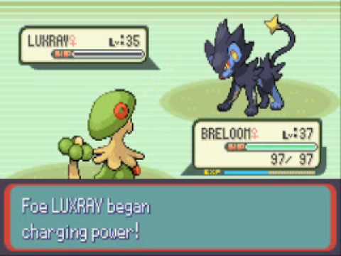 Pokemon Ruby Destiny Life Of Guardians Beta 4 - Vs. Master Rhea
