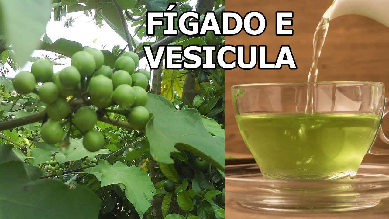 Gordura no Fígado, Vesícula Inflamada, Zumbido e Refluxo... #Remédio 💖MARILENE SARAH FIALHO