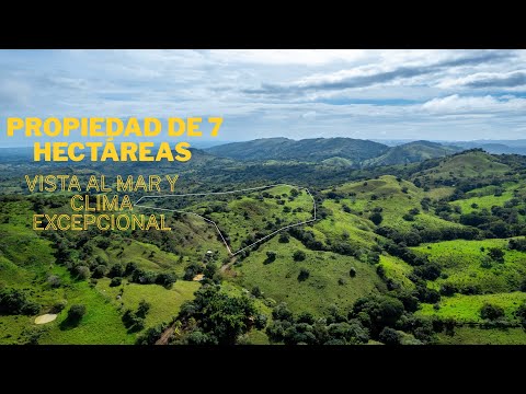 7 Hectare Farm with Ocean Views Las Tablas Los Santos Panama SSS3098
