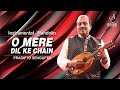 O MERE DIL KE CHAIN INSTRUMENTAL MANDOLIN PRADIPTO SENGUPTA SIDDHARTH ENTERTAINERS