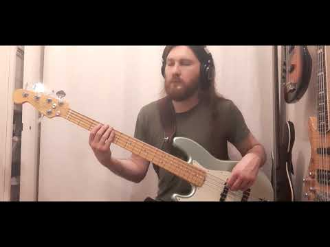 Transport Band - A może by - bass cover