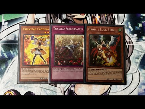 My Yugioh Pure Trickstar deck profile for 4/23 the girls are back!