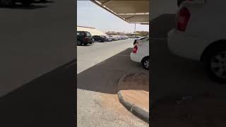 صورة الحرص على السنه #فوائد المشيقح