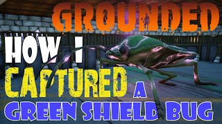 Grounded 1.4; Ultimate Bug Capture! See how I captured a Green Shield Bug in NG+1.