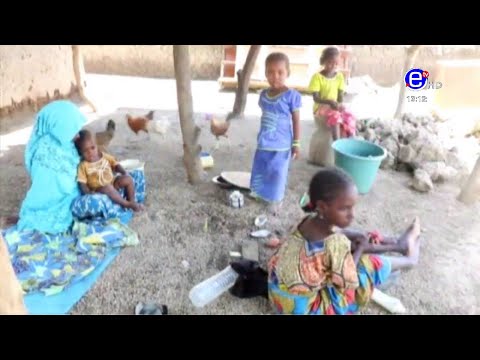 PIDGIN NEWS TUESDAY 24th NOVEMBER 2020 - ÉQUINOXE TV