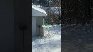 Download lagu December 14, 2025 mp3