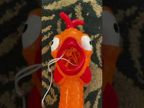 Screaming Chicken 🐔 !! #shorts