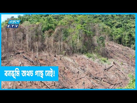 গাছ যদি না থাকে, অক্সিজেন পাবেন কীভাবে?