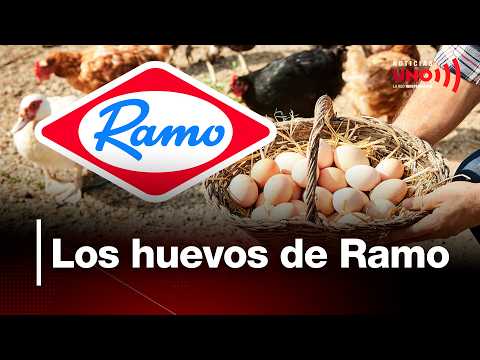 Ramo utiliza jaulas prohibidas en la UE con gallinas en Cachipay para producir sus ponqués