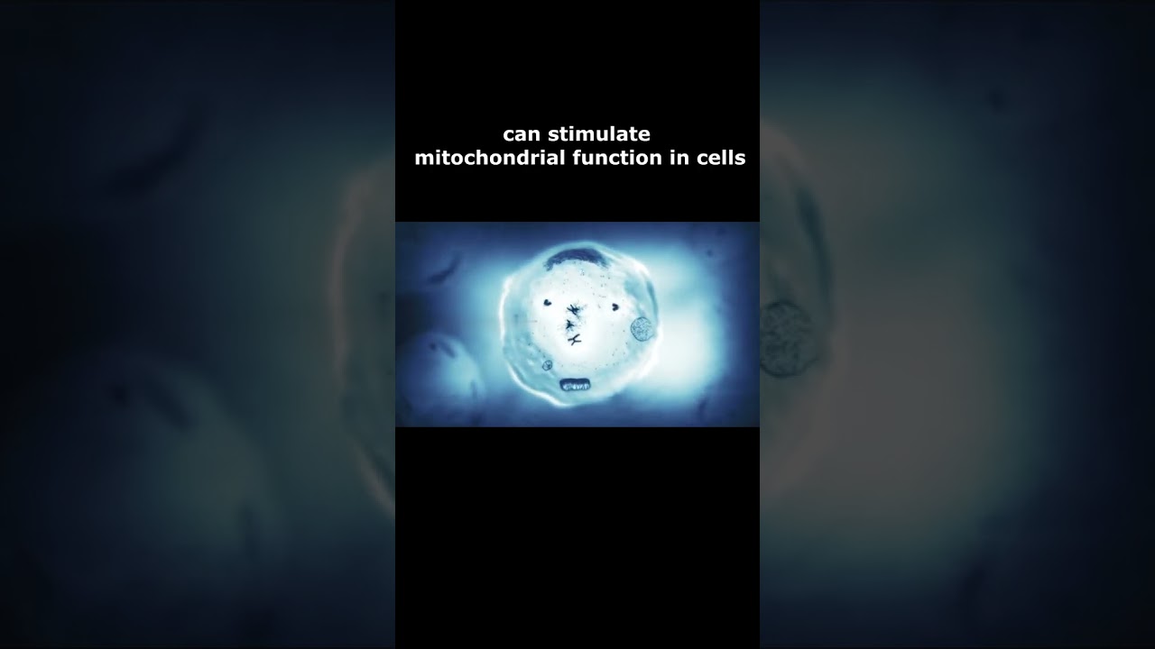 Light therapy for Optic Nerve Damage - Stimulation of Mitochondrial Function