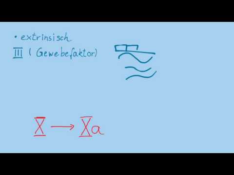 sekundäre Hämostase - BC6 Blut