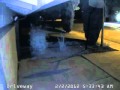 Raccoons Mating Season In The City