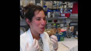 Out of the Lab (Bearoid - Out Of My Mind)