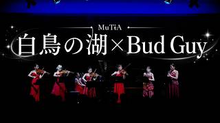 Download lagu 【白鳥の湖×Bad Guy】情景 / チャイコフスキー｜MuTiA ＠サントリーホール 2026.5  Swan Lake × Bad Guy / Tchaikovsky mp3