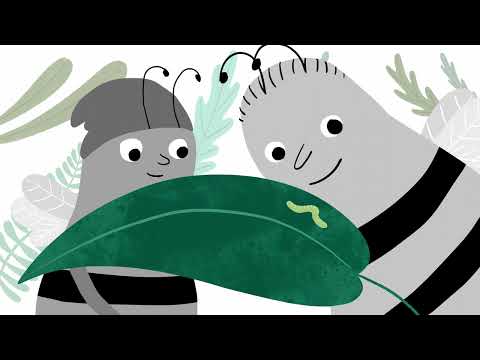 Learning to thrive - Noticing and connecting with nature