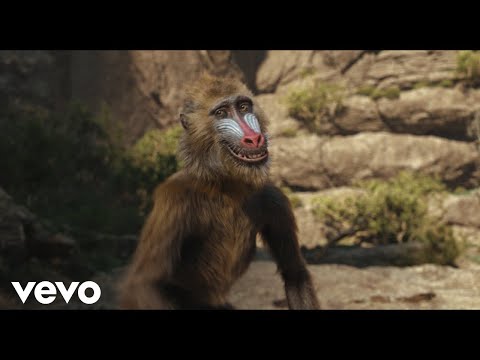 Wir gehen zusammen (aus "Mufasa: Der König der Löwen")