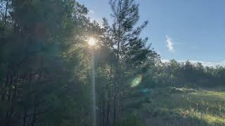 Hiking Starkey Park October -1-2021