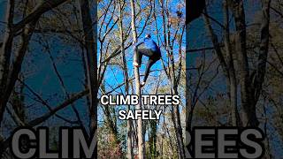 How To Climb Trees Safely with no equipment