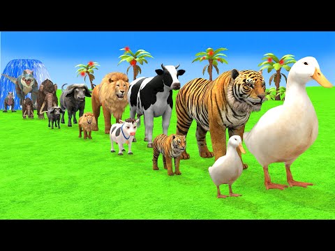 Long Slide Game With Elephant Gorilla Buffalo Hippopotamus Tiger 3d Animal Game Funny 3d Animals