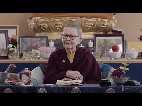 Pema Chödrön on vibes.