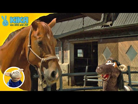 Zurück zu den Wurzeln | Sesamstraße präsentiert: Eine Möhre für Zwei | Mehr auf kikaninchen.de