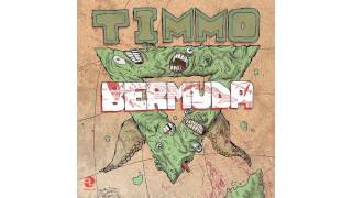 Timmo - Bermuda (Original Mix) [ANALYTICTRAIL]